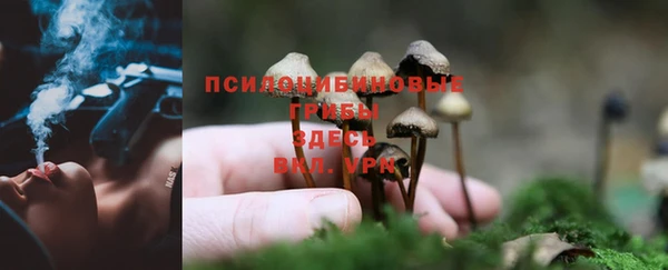 кокс Алзамай