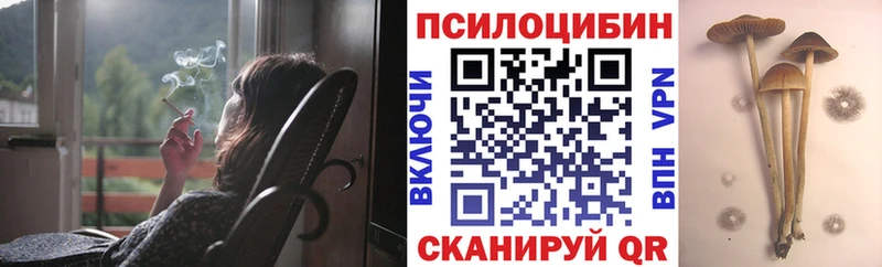 Псилоцибиновые грибы Psilocybine cubensis  закладки  Донецк 
